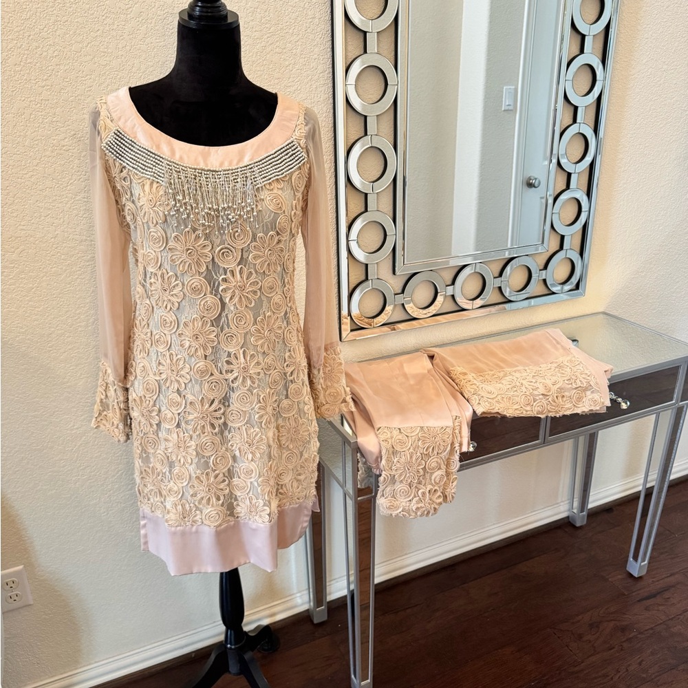 Pakistani/Indian beautiful net and silk dress size S/M.